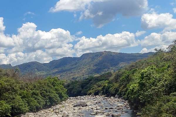 Blick von der Hängeseilbrücke auf Panamas tolle Natur