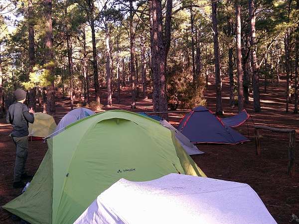 Unser Camp im Wald