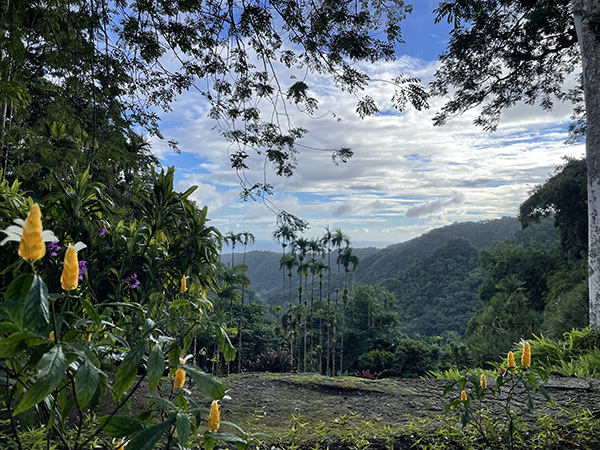 Martinique