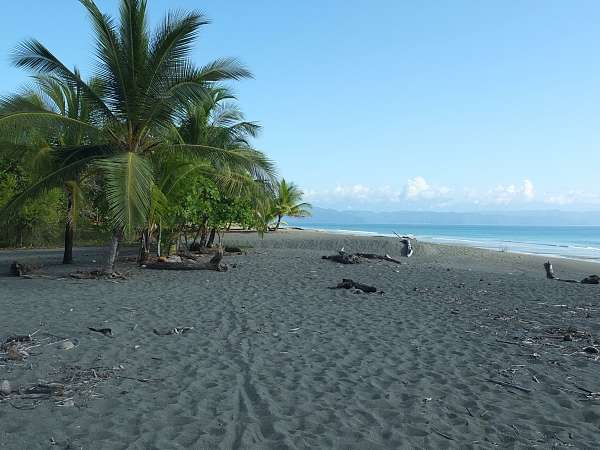 Unser erstes Lager am Pazifikstrand