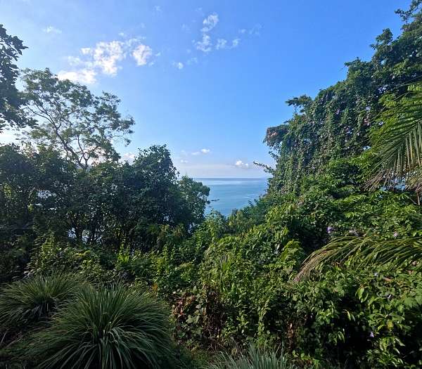 Ausblick vom Berg neben dem Cacao Beach © Conrad