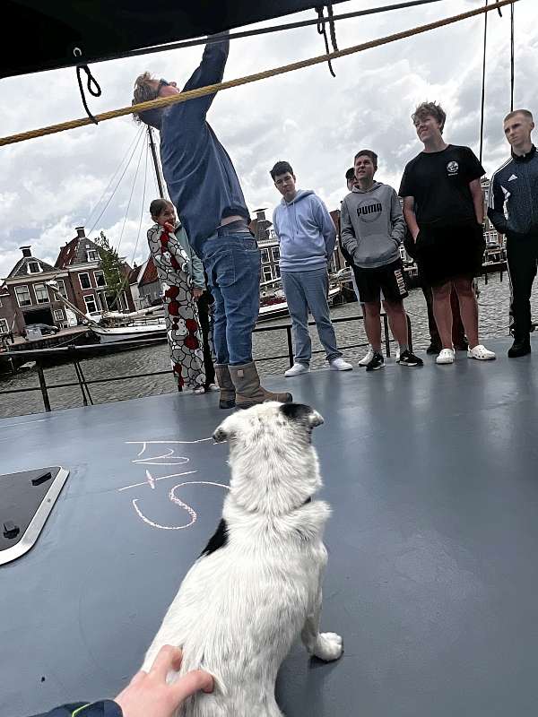 Bordhund Job bei der Segeleinweisung